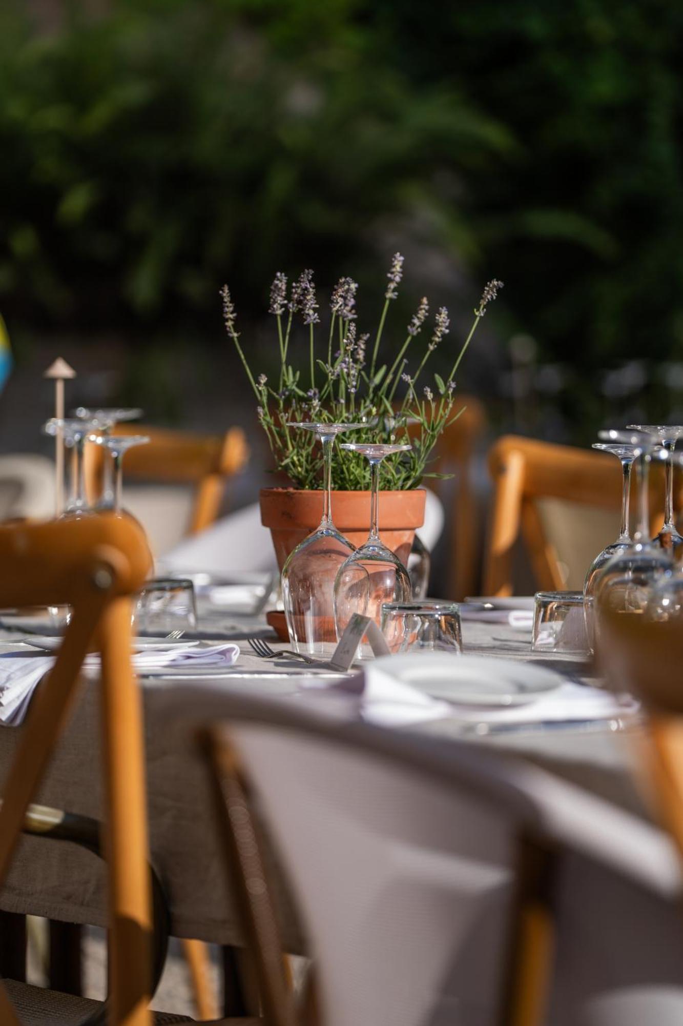 Agroturismo Son Boronat Calvia  Dış mekan fotoğraf