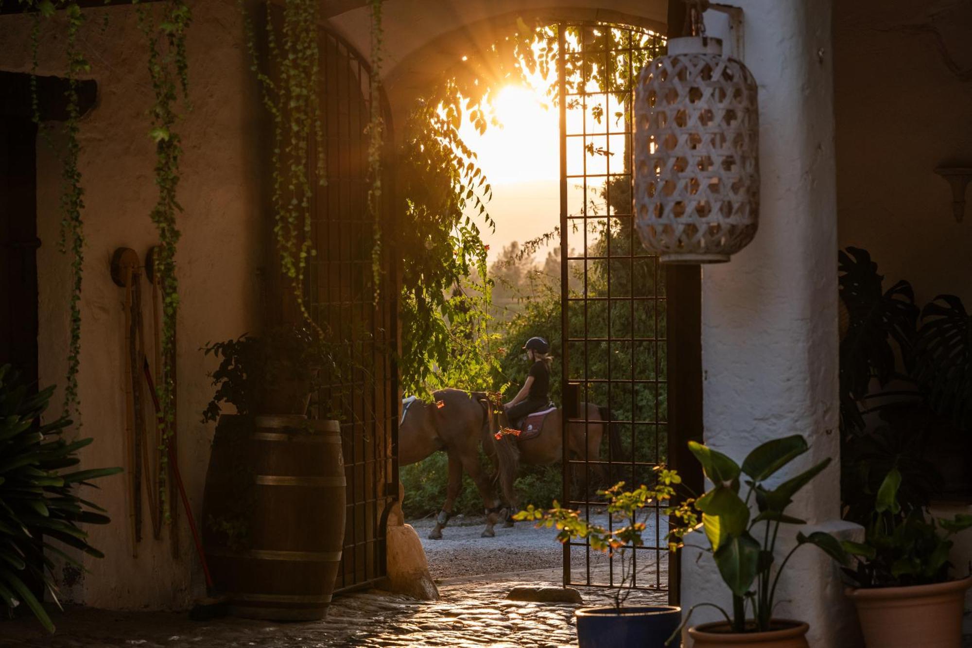 Agroturismo Son Boronat Calvia  Dış mekan fotoğraf